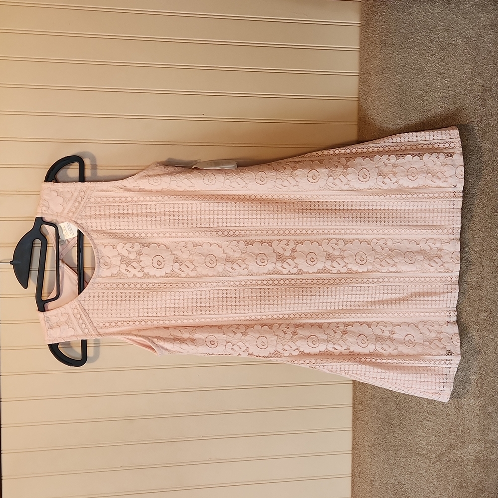 NWT Altar'd State dress blush size large lace